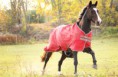 /album/horses-hastar/a22-jpg/